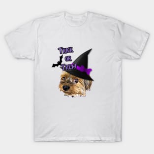 Cute Yorkshire Terrier Yorkie with Halloween Hat T-Shirt